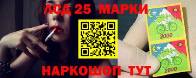 стаф Бийск