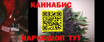 стаф Бийск