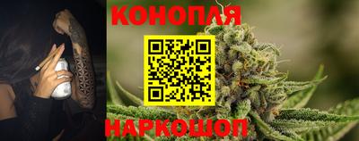 стаф Бийск