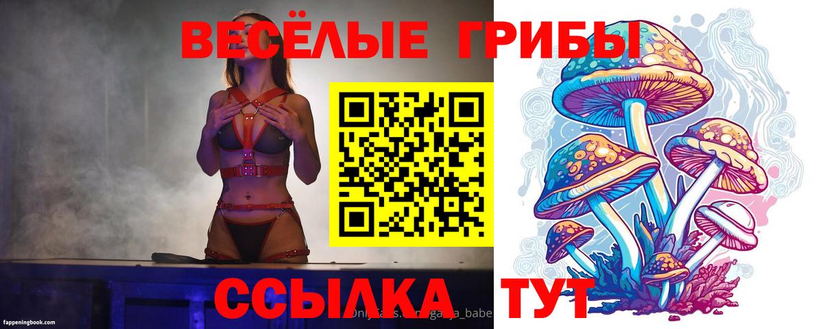 Дмитров  Псилоцибиновые грибы мухоморы  Галлюциногенные грибы Cubensis  Вход с VPN 
