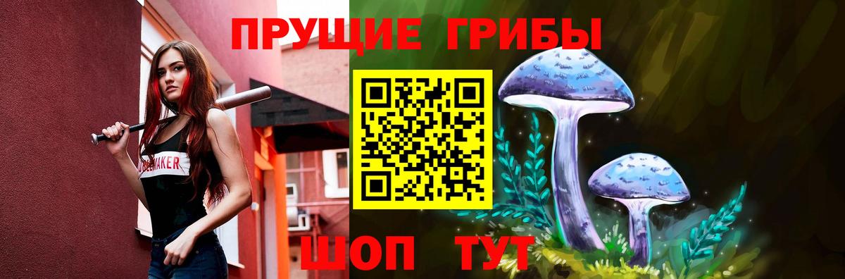 Галлюциногенные грибы Psilocybe Дмитров